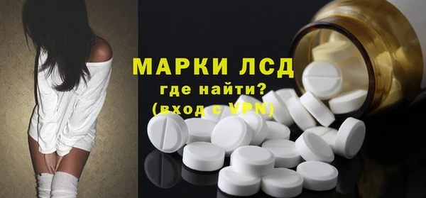 гидра Белокуриха