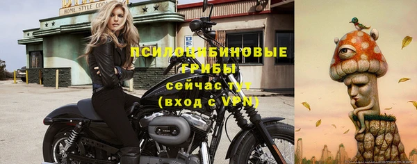 гидра Белокуриха