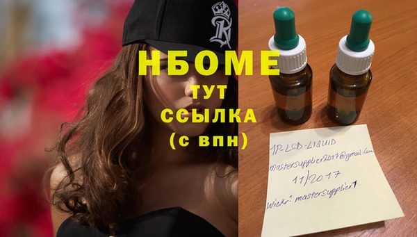 гидра Белокуриха