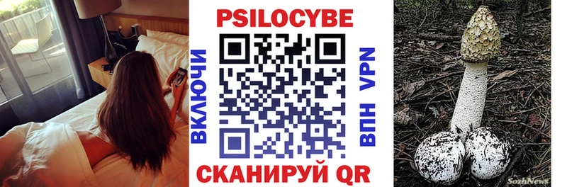 Псилоцибиновые грибы мицелий  Купить  Ликино-Дулёво 