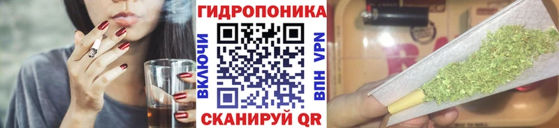 Купить закладки  Ликино-Дулёво  Канабис план 